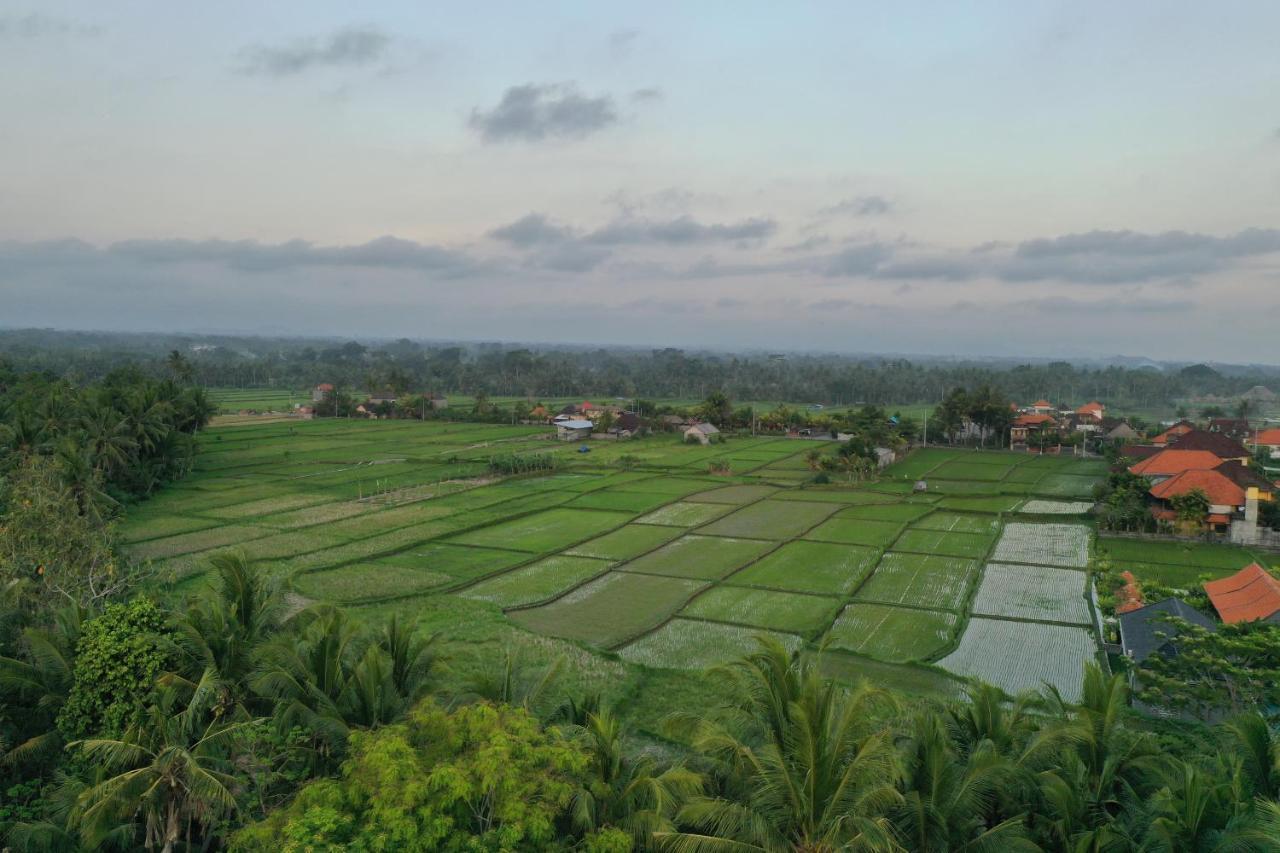 Sila Urip Guest House Ubud Zewnętrze zdjęcie